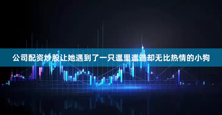 公司配资炒股让她遇到了一只邋里邋遢却无比热情的小狗