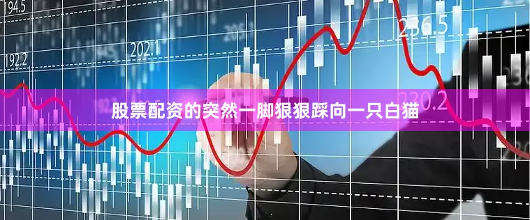 股票配资的突然一脚狠狠踩向一只白猫