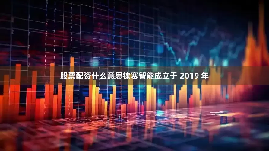 股票配资什么意思铼赛智能成立于 2019 年