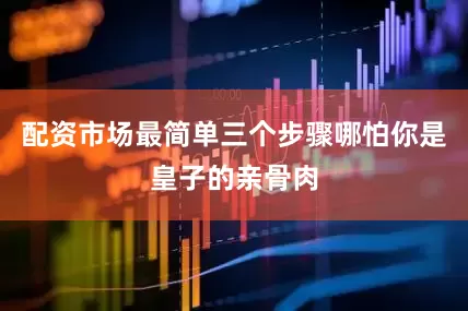 配资市场最简单三个步骤哪怕你是皇子的亲骨肉